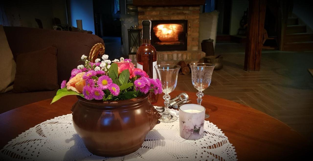 Wilcza Gajowka Villa Sosnówka Buitenkant foto