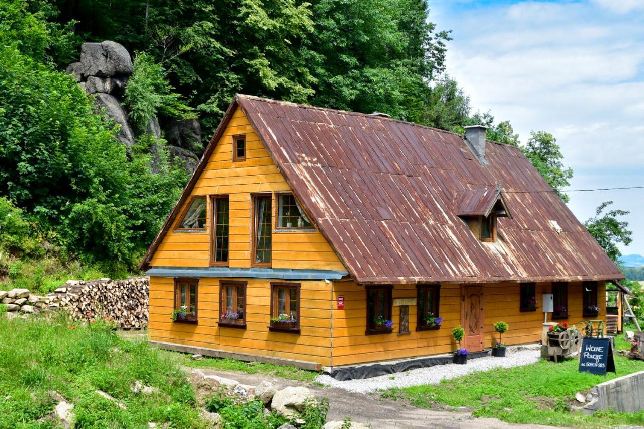 Wilcza Gajowka Villa Sosnówka Buitenkant foto